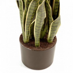 Sansevieria Artificiel