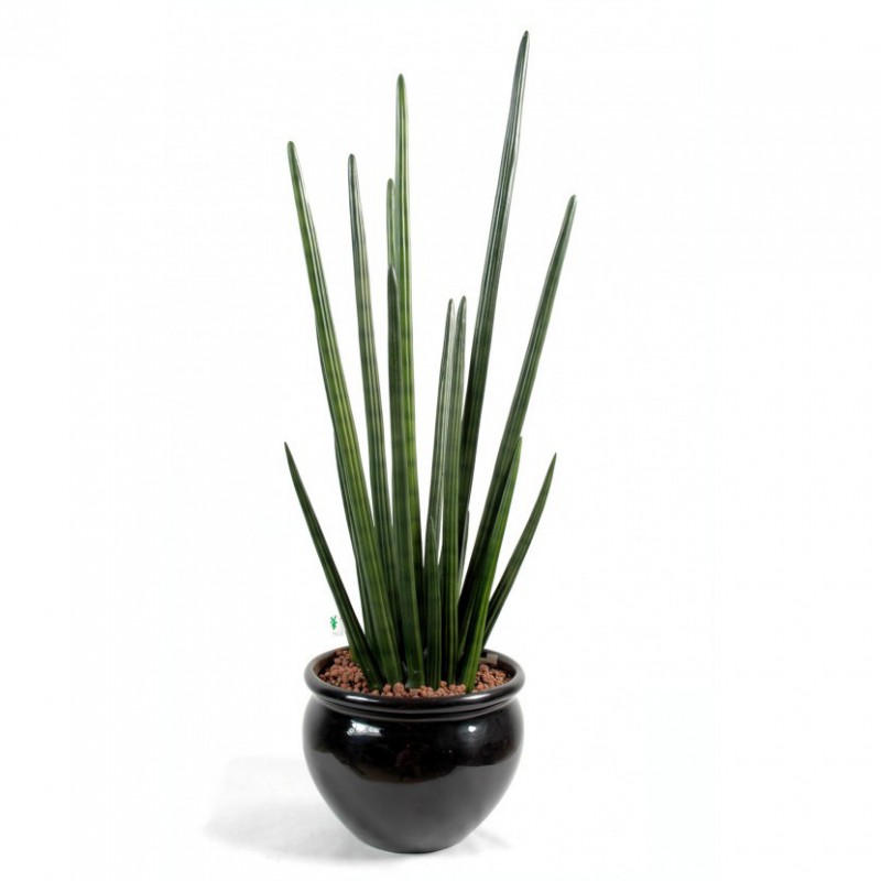 SANSEVIERIA ARTIFICIEL CYLINDRICA