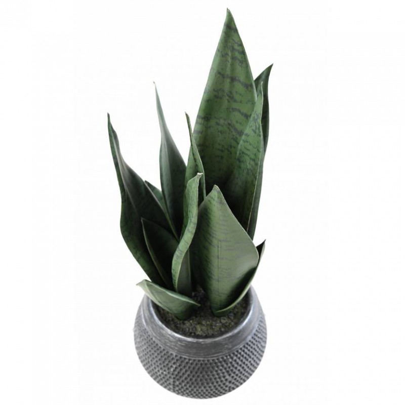 SANSEVIERIA ARTIFICIEL - 49(h)