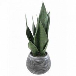 Sansevieria Artificiel - 85(h)