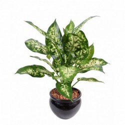 Dieffenbachia Artificiel