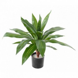 Dracaena Artificiel Large - 55(h) Plante artificielle d'intérieur