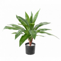 Dracaena petite plante artificielle d'intérieur