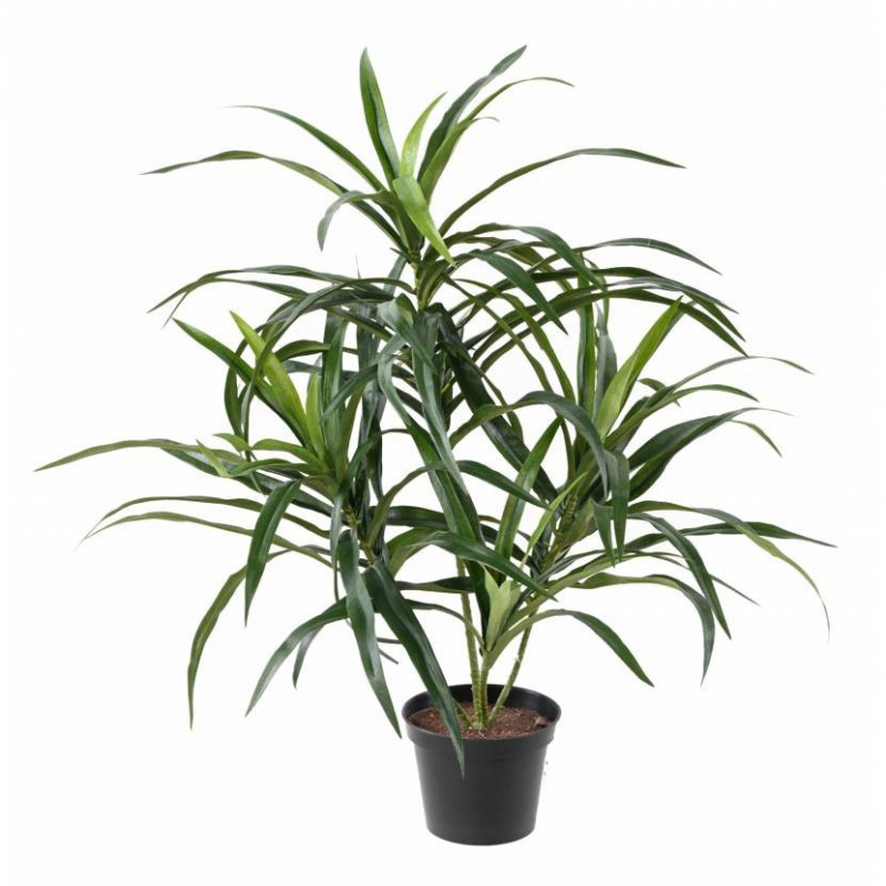 Dracaena Artificiel Anita Pot - 75(h)