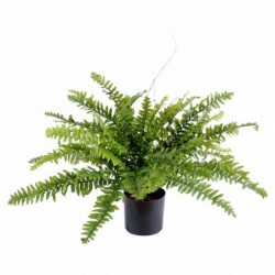 Plante synthétique de qualité