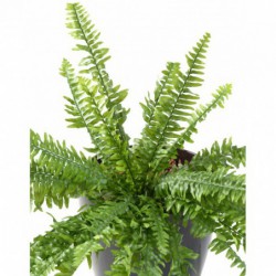 Fougère synthétique haut de gamme