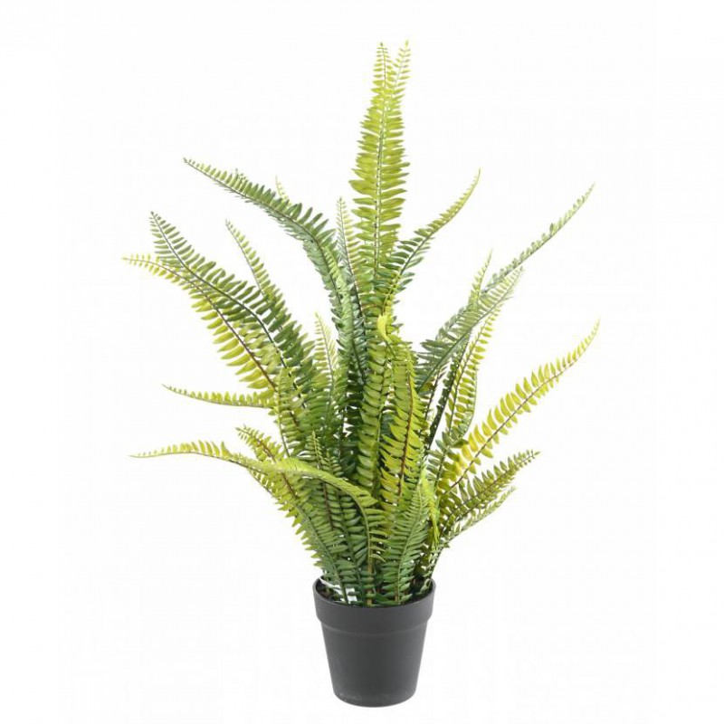 Fougere Artificielle Boston Plast