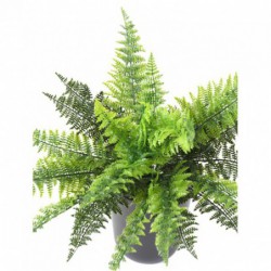 Plante synthétique de qualité