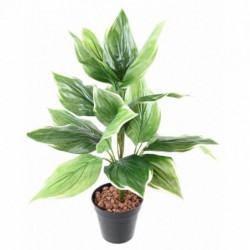 Hosta Artificiel