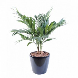 PALMIER ARTIFICIEL PARLOUR PLANTE