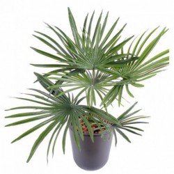 Palmier Artificiel Mini