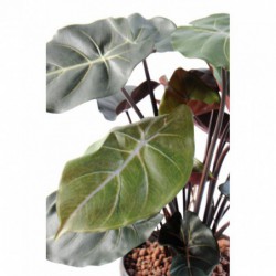 Plante verte feuille artificielle