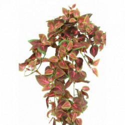 Coleus Artificiel Chute