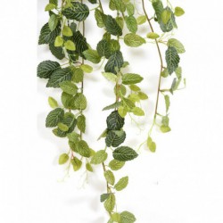 Fitonia Artificiel Mini