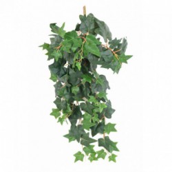 LIERRE ARTIFICIEL ANGLAIS