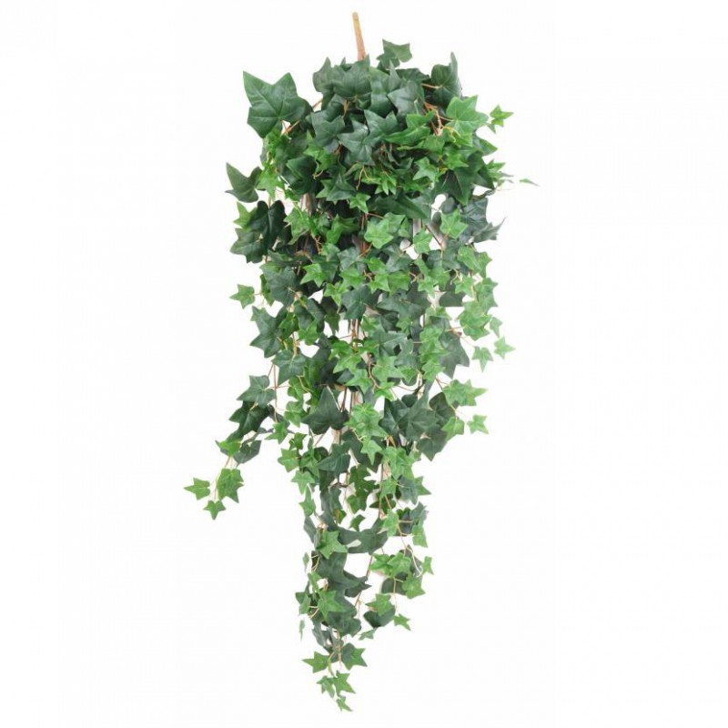 LIERRE ARTIFICIEL ANGLAIS - 130(h)