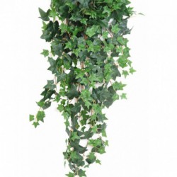 Lierre Artificiel Anglais - 130(h)