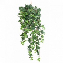 LIERRE ARTIFICIEL HOLLANDAIS - 125(h)