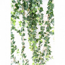 Lierre Artificiel Mini - 200(h)