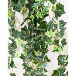 Lierre Artificiel Mini - 200(h)