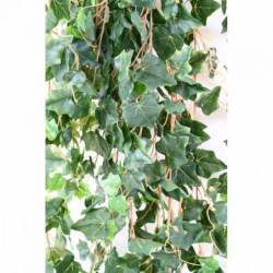 Lierre Artificiel Mini V - 200(h)