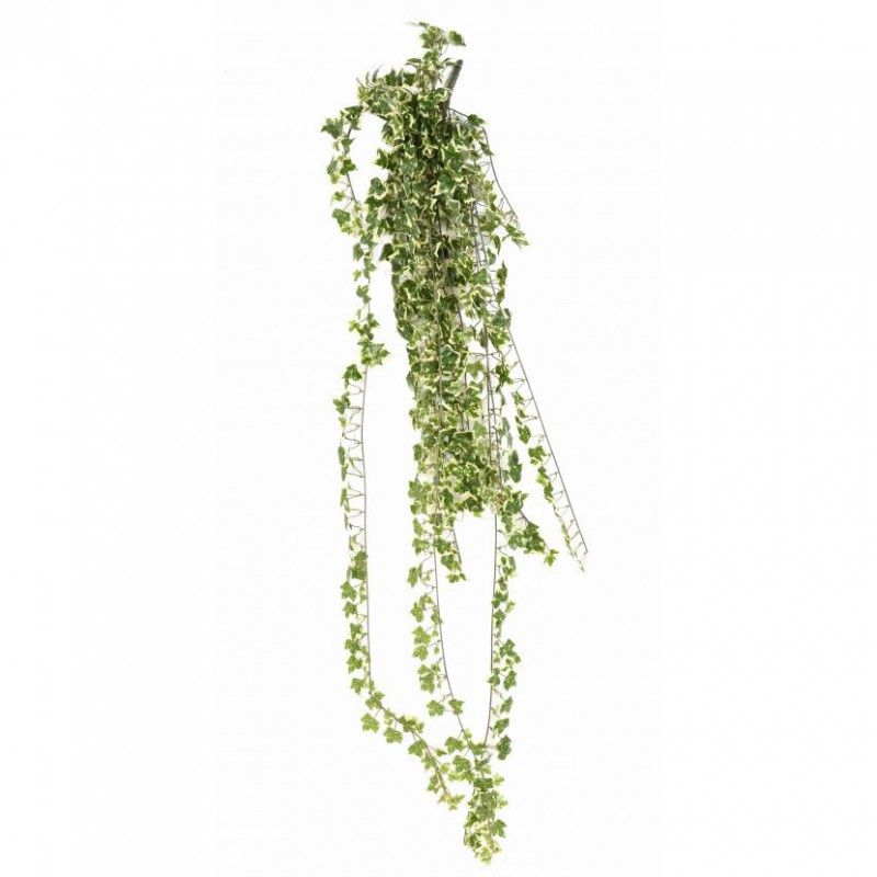 LIERRE ARTIFICIEL PANACHE