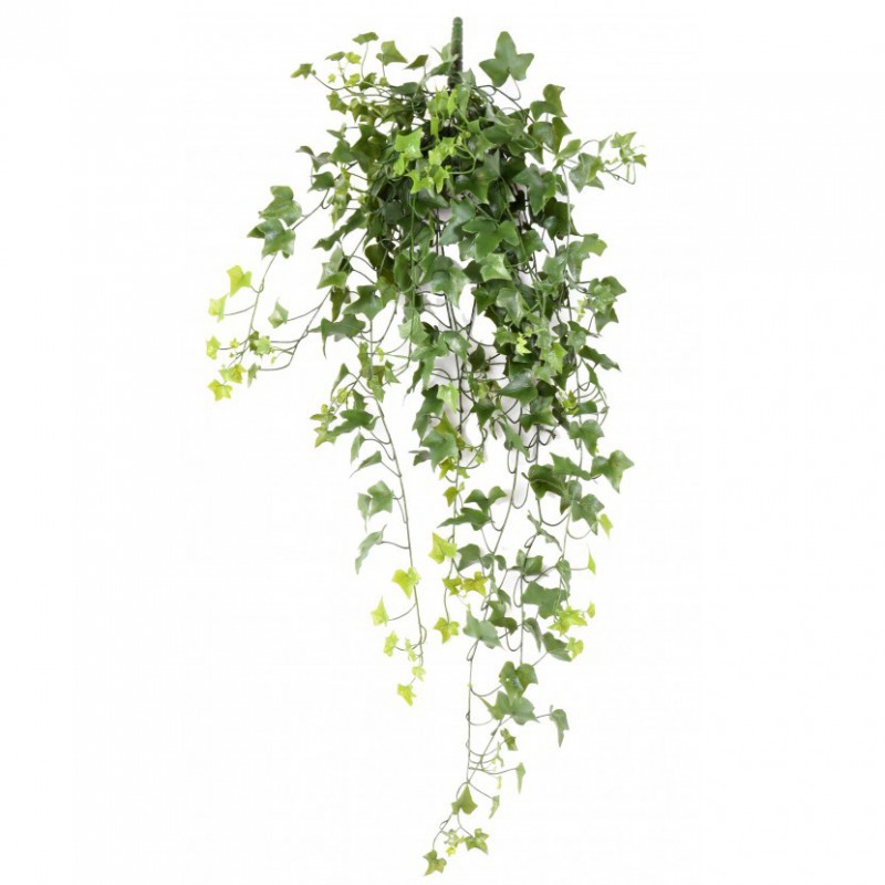 LIERRE ARTIFICIEL UV - 100(h)