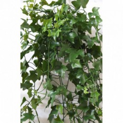 Lierre Artificiel Uv - 100(h)