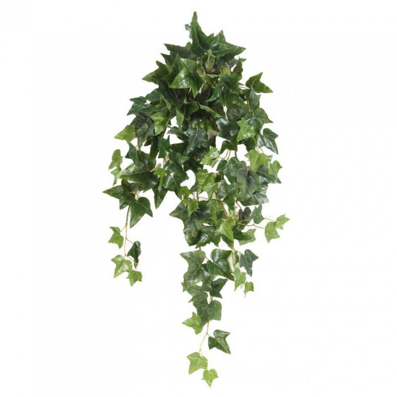 LIERRE ARTIFICIEL ANGLAIS CHUTE