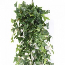 Lierre Artificiel Anglais Chute - 120(h)