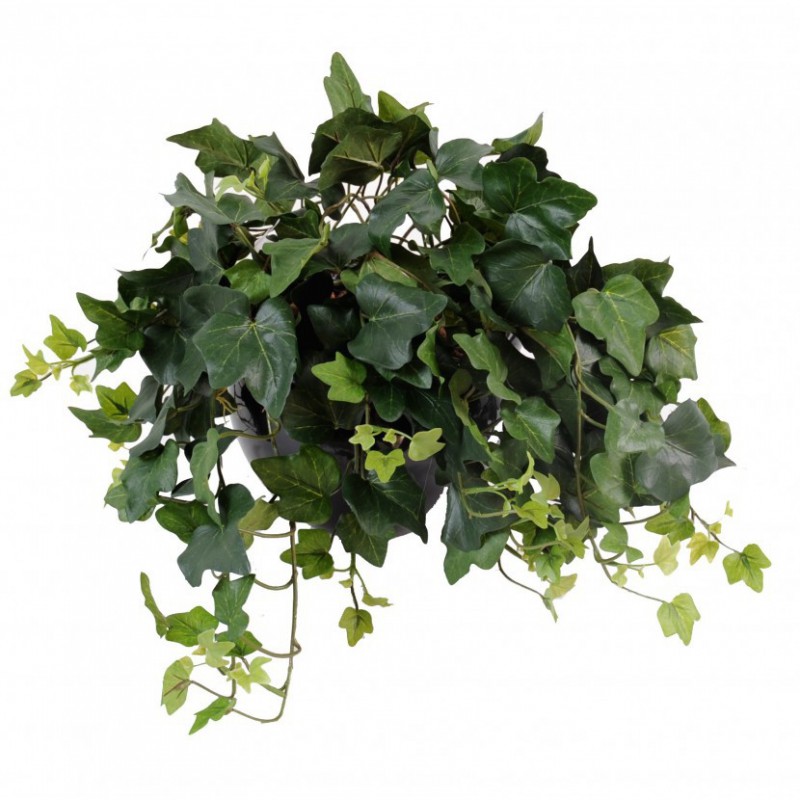 LIERRE ARTIFICIEL GALA