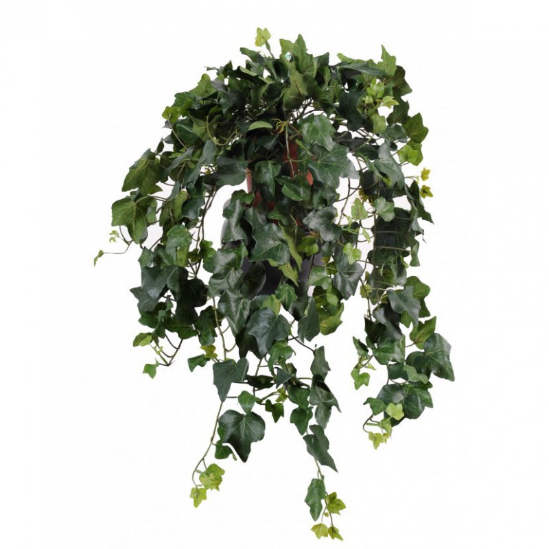 LIERRE ARTIFICIEL GALA - 75(h)