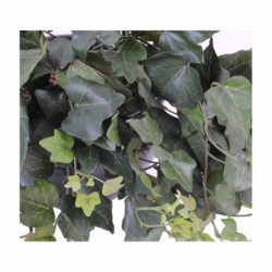 Lierre Artificiel Gala - 75(h)