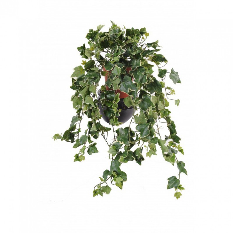 LIERRE ARTIFICIEL GALA VB - 75(h)