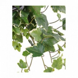 Lierre Artificiel Gala Vb - 75(h)