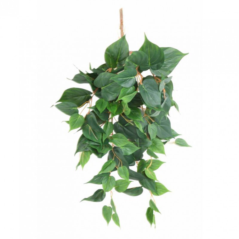 POTHOS ARTIFICIEL