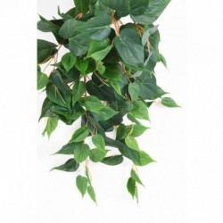 Pothos Artificiel