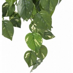 Pothos Artificiel Chute Uv