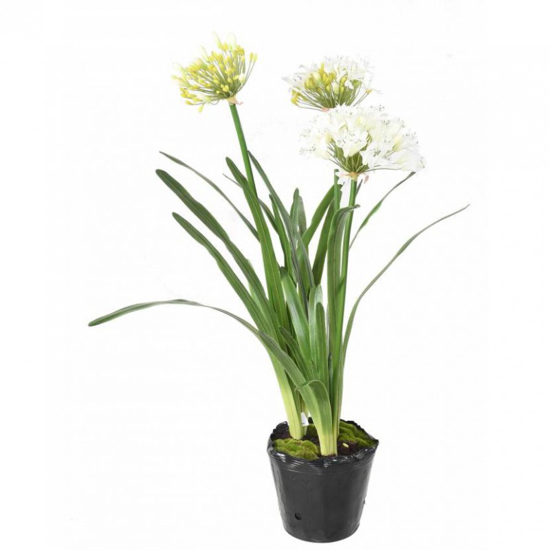 AGAPANTHE ARTIFICIELLE EN MOTTE BLANC