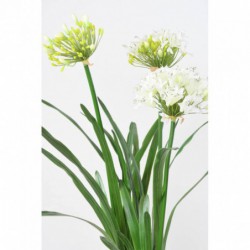Agapanthe Artificielle En Motte Blanc