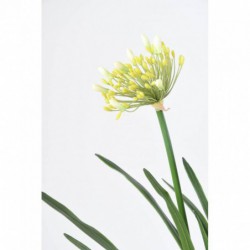 Agapanthe Artificielle En Motte Blanc
