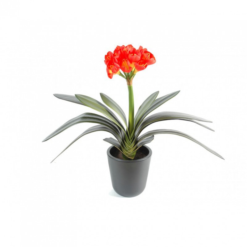 CLIVIA ARTIFICIEL