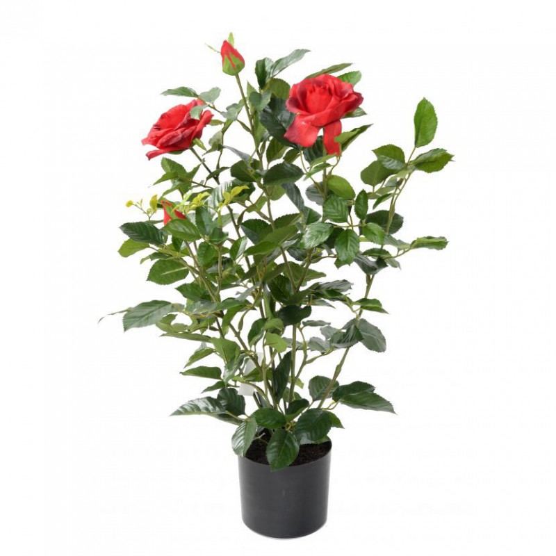 ROSIER ARTIFICIEL ROYAL ROUGE - 60(h)