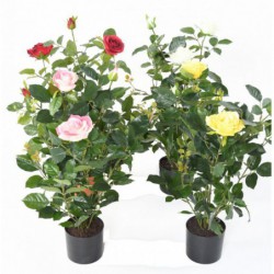 Rosier Artificiel Royal Jaune