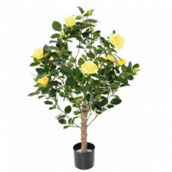 ROSIER ARTIFICIEL ROYAL JAUNE - 100(h)