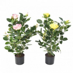Rosier Artificiel Royal Rose