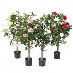 Rosier Artificiel Royal Rose - 100(h)