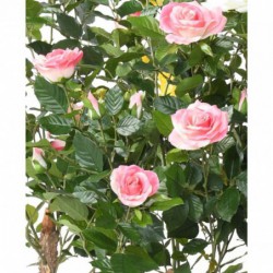 Rosier Artificiel Royal Rose - 100(h)