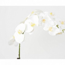 Phalaenopsis Artificielle Motte - 85(h)