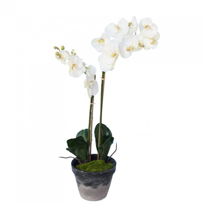PHALAENOPSIS ARTIFICIELLE EN POT - 85(h)